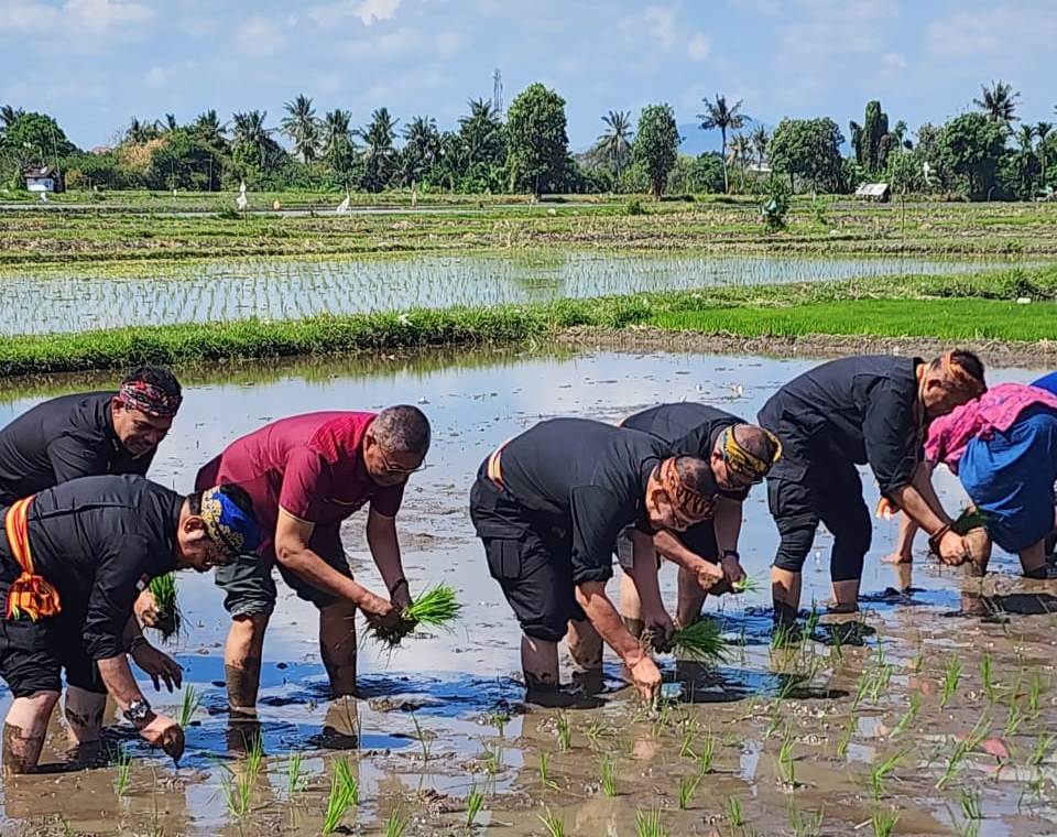 Saat kunjungan kerja ke Kota Mataram, NTB dan antisipasi El Nino, Mentan SYL turut menanam benih padi.   