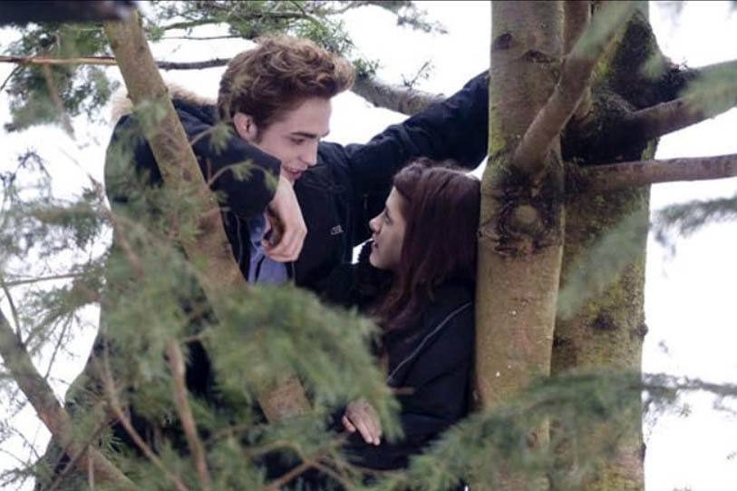 Ingin mengingat kisah cinta Bella Swan dan Edward Cullen? Berikut urutan nonton film Twilight.