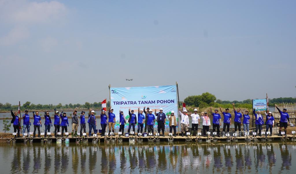 Merayakan HUT ke-50, Tripatra melakukan penanaman 50 ribu bibit pohon mangrove di Kawasan Mangrove Kramat, Pakuhaji, Tangerang. 