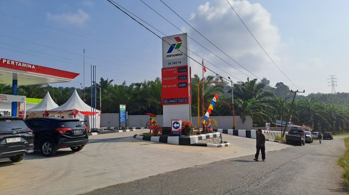 Demi Kurangi Polusi, IESR Setuju Pertalite Dihapuskan