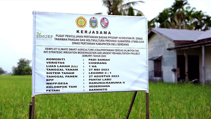 Pertanian Cerdas Iklim Bisa Hemat Air dan Tingkatkan Produktivitas