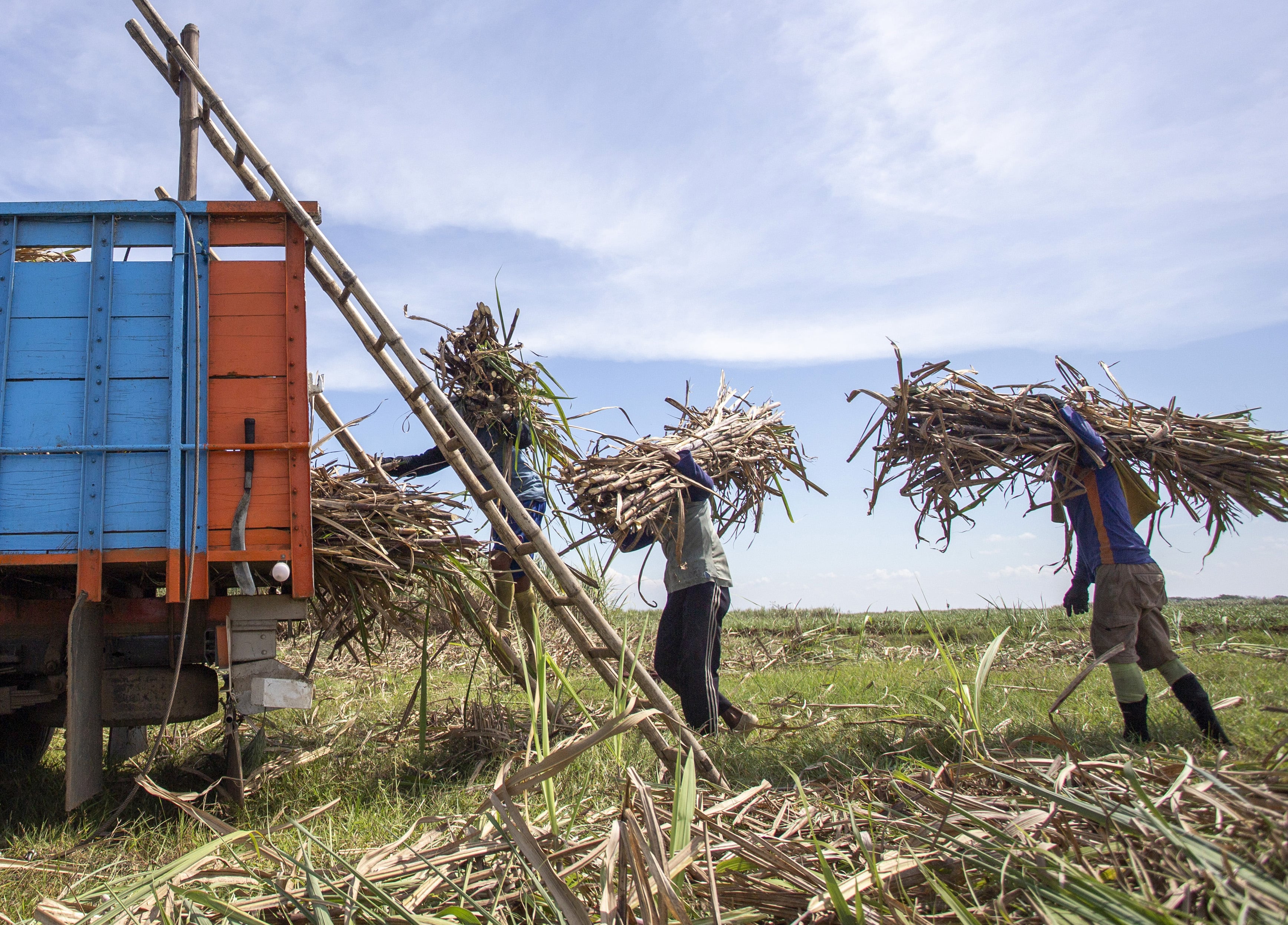Menperin Akselerasi Pemenuhan Target Swasembada Gula 2028