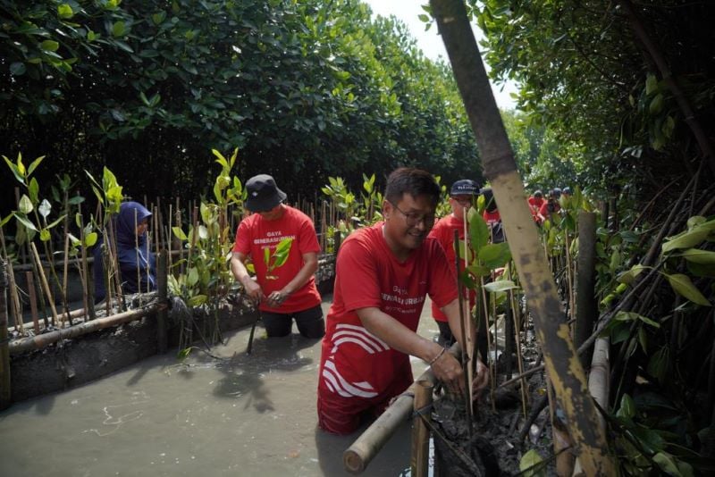 Jajaran pejabat PT KAI Commuter melakukan penanaman bibit mangrove.