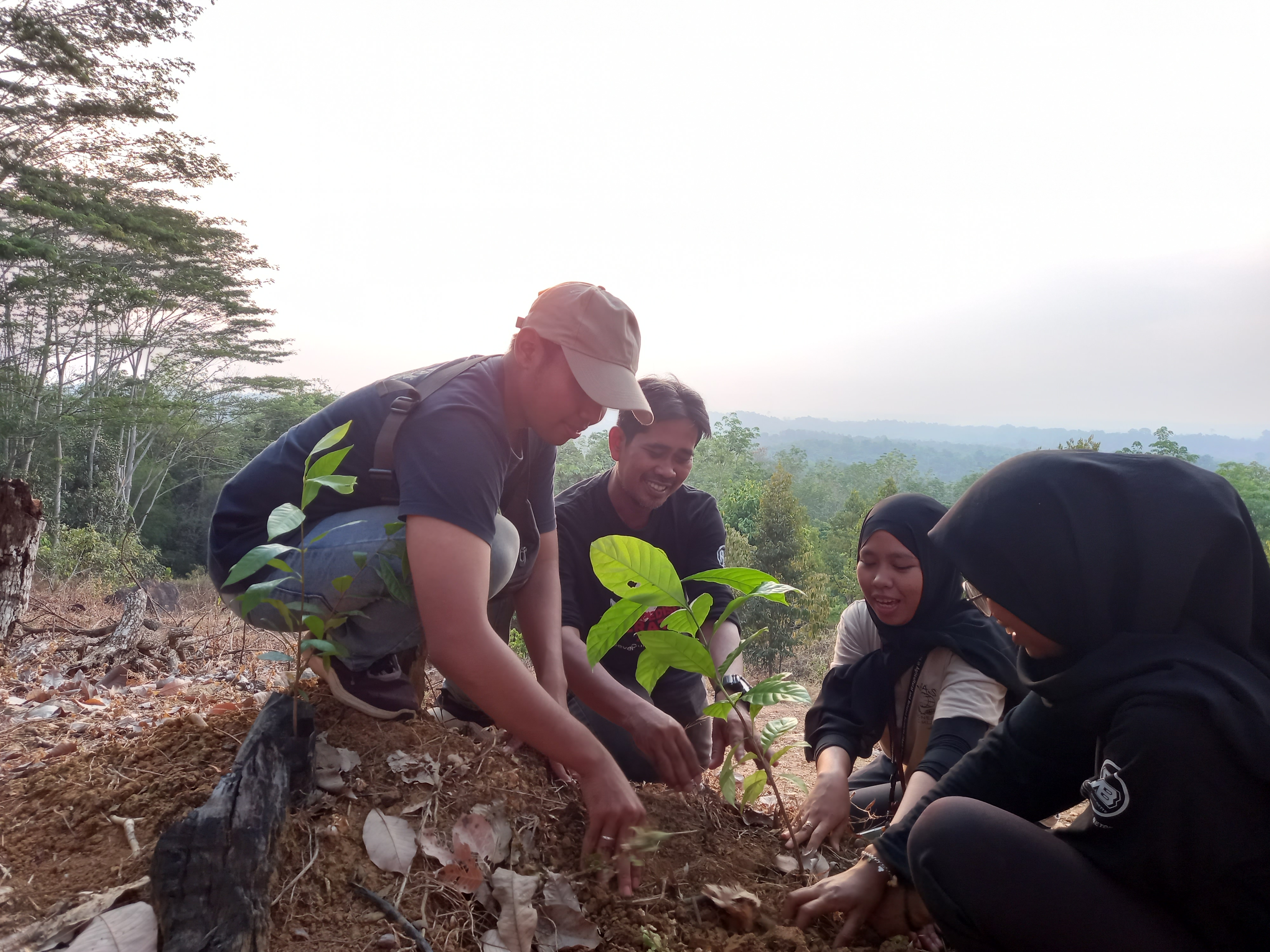 Penanaman bibit pohon yang dilakukan jurnalis dan sejumlah lembaga di Tapin dan Hulu Sungai Tengah, Kalimantan Selatan.