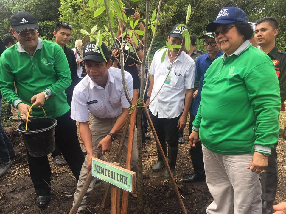 Menteri Lingkungan Hidup Siti Nurbaya menyaksikan penanaman pohon dalam program Revolusi Hijau di Kalimantan Selatan