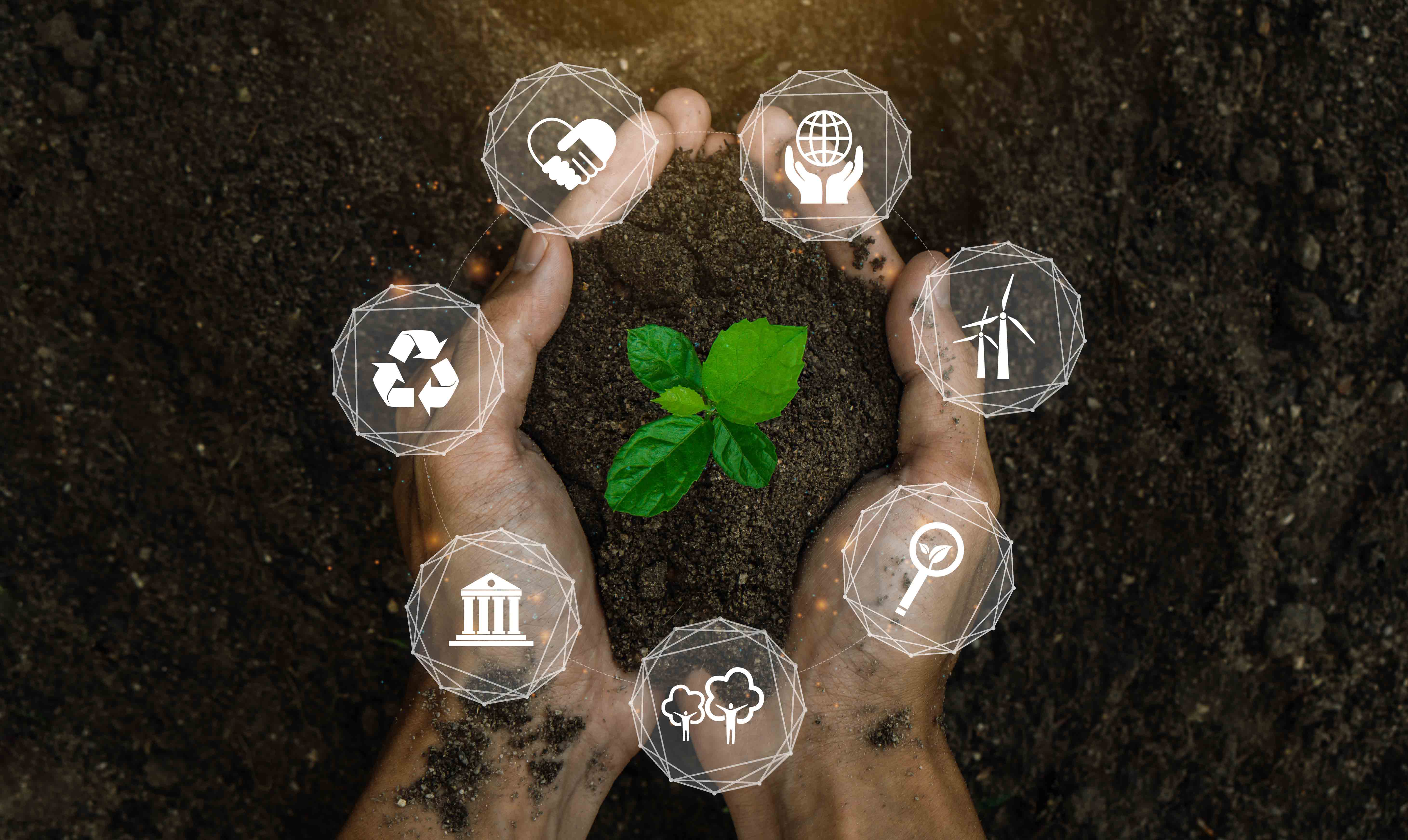 Ilustrasi upaya penciptaan industri hijau berkelanjutan.