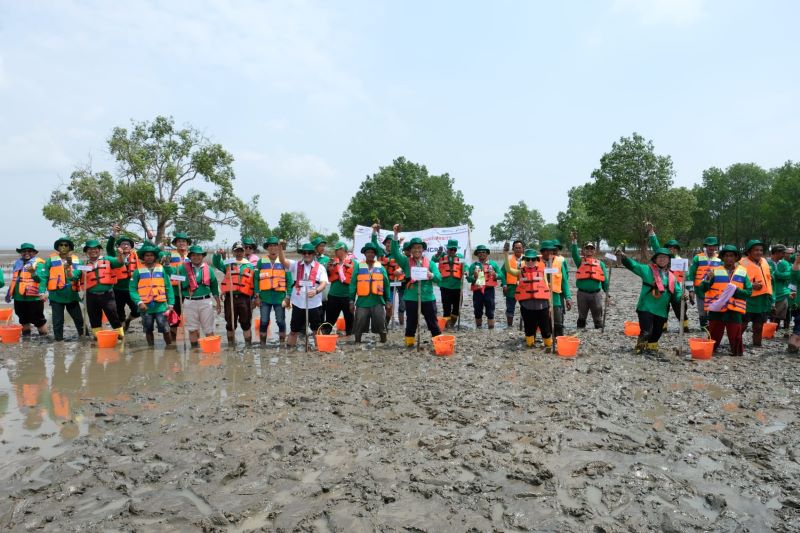 Penanaman 7.800 bibit manggrove di kawasan pesisir Banyuasin, Sumsel.