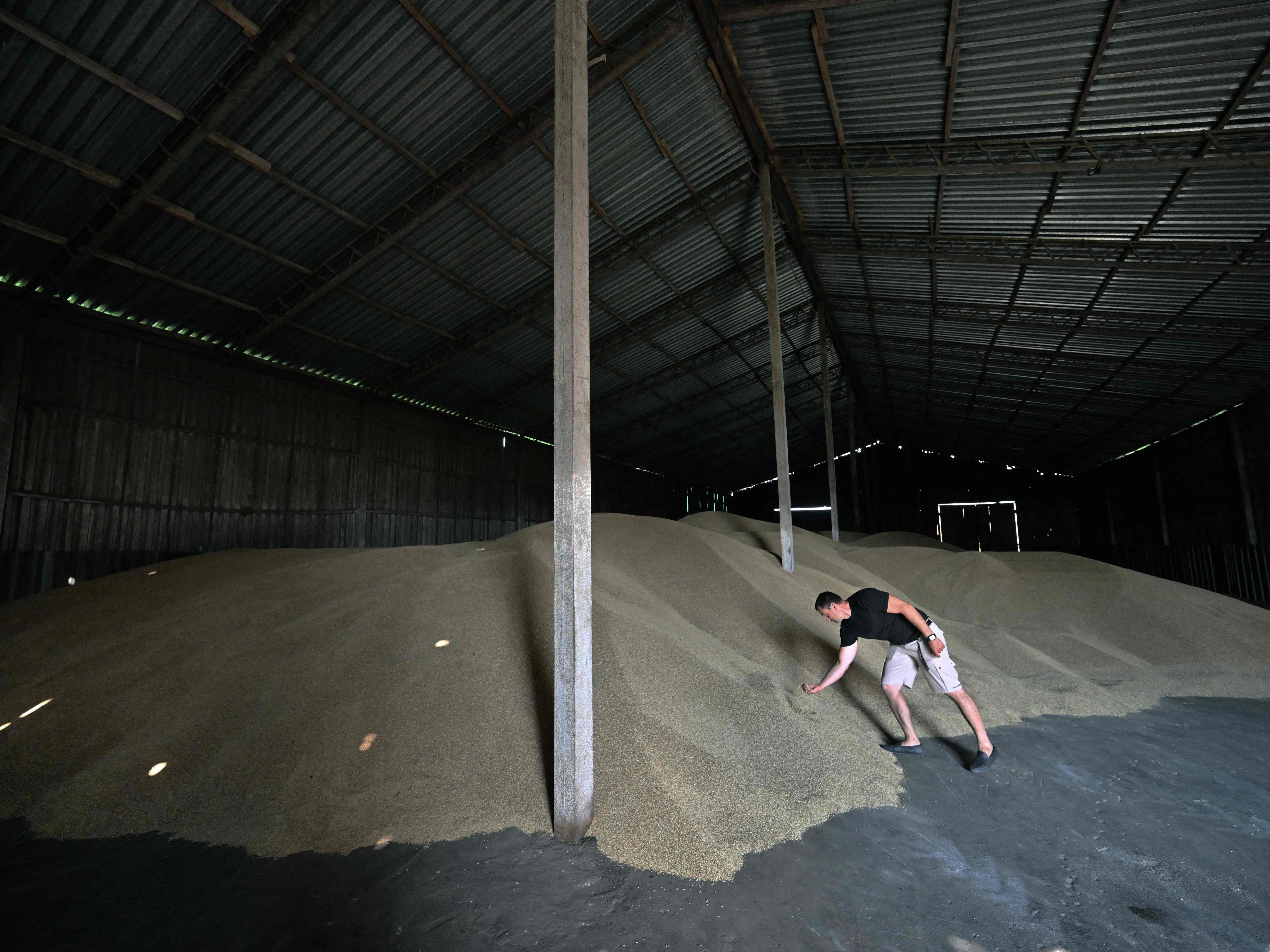 Serangan Rusia Rusak 40 Ribu Ton Biji-bijian Ukraina