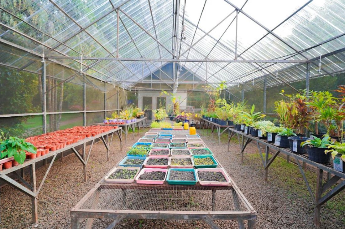 Taman Keanekaragaman Hayati (Kehati) Sawerigading Wallacea 