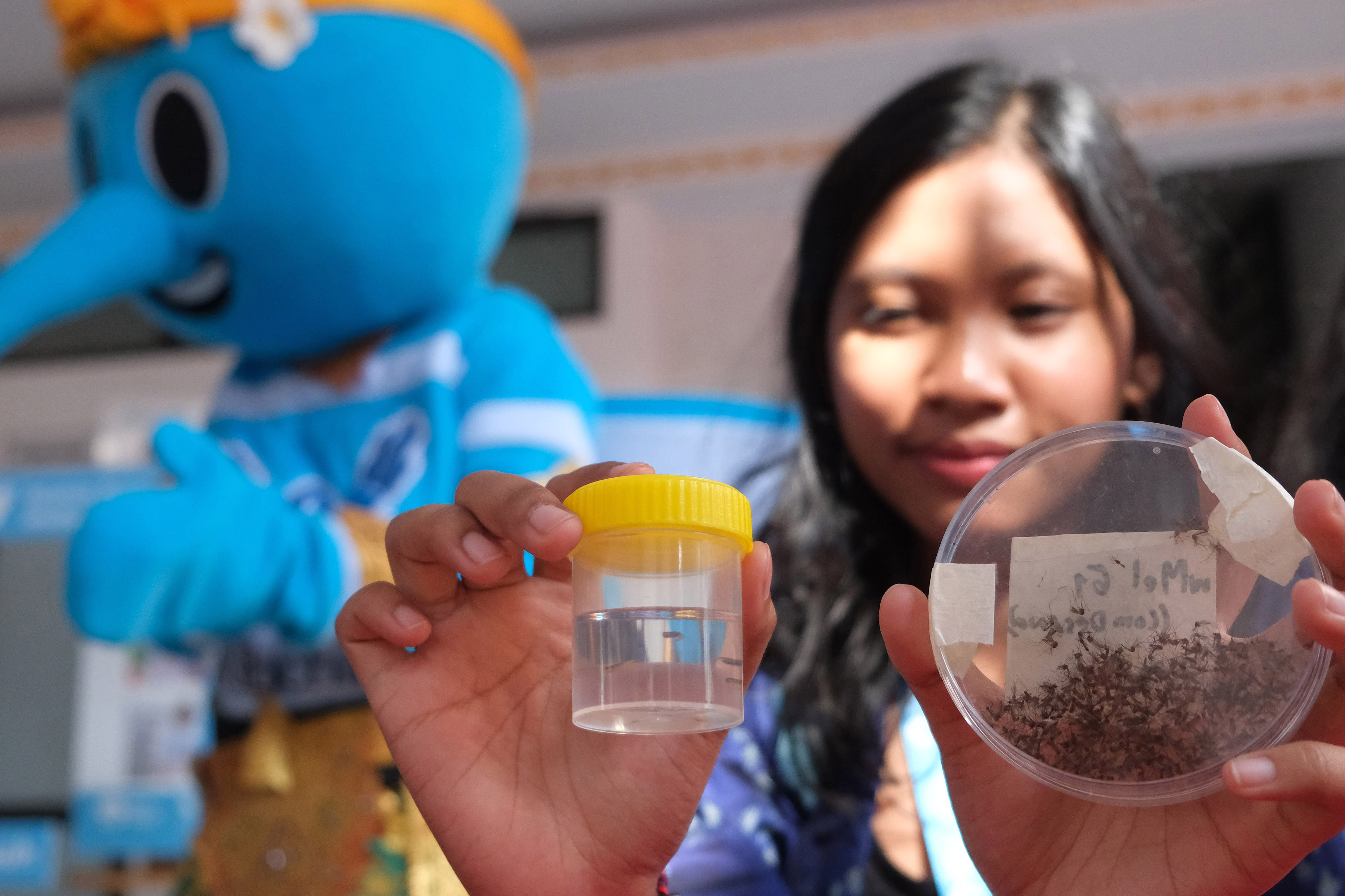 Buleleng Jadi Proyek Percontohan Wolbachia untuk Basmi DBD