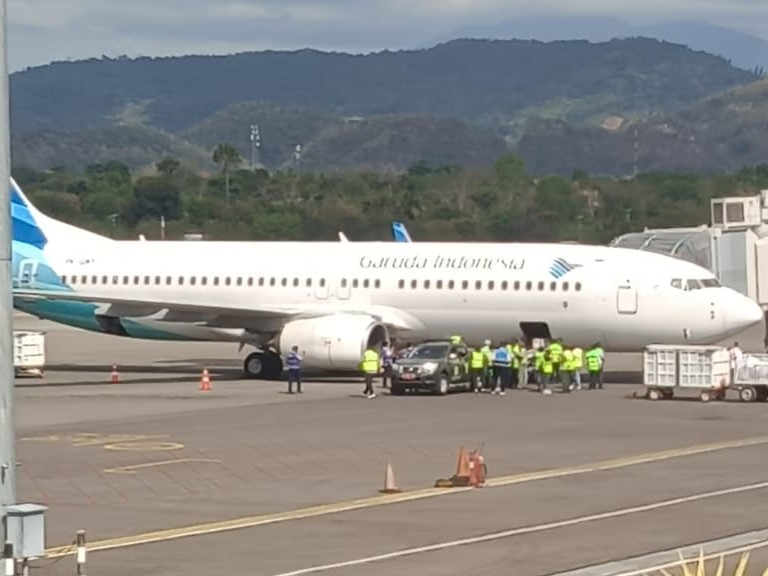Enam komodo diberangkatkan dari Bandara Soekarno-Hatta dengan menggunakan pesawat Garuda Indonesia. 