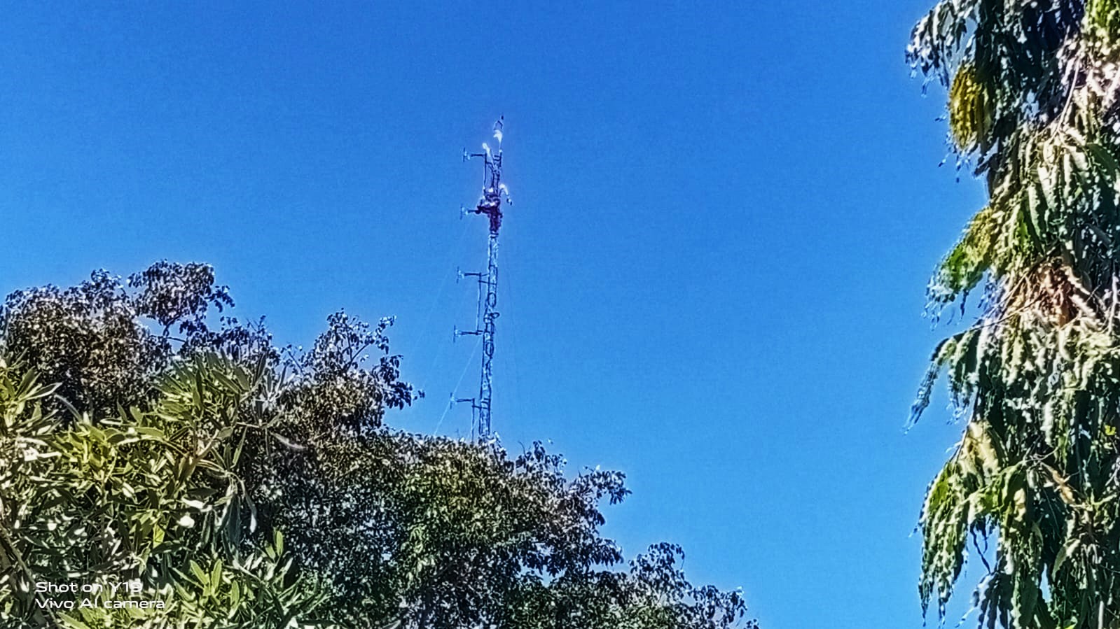 Agus Woro, 56, memanjat tower setinggi 56 meter di Kupang, NTT karena ingin bisa bertemu dengan Presiden Jokowi.