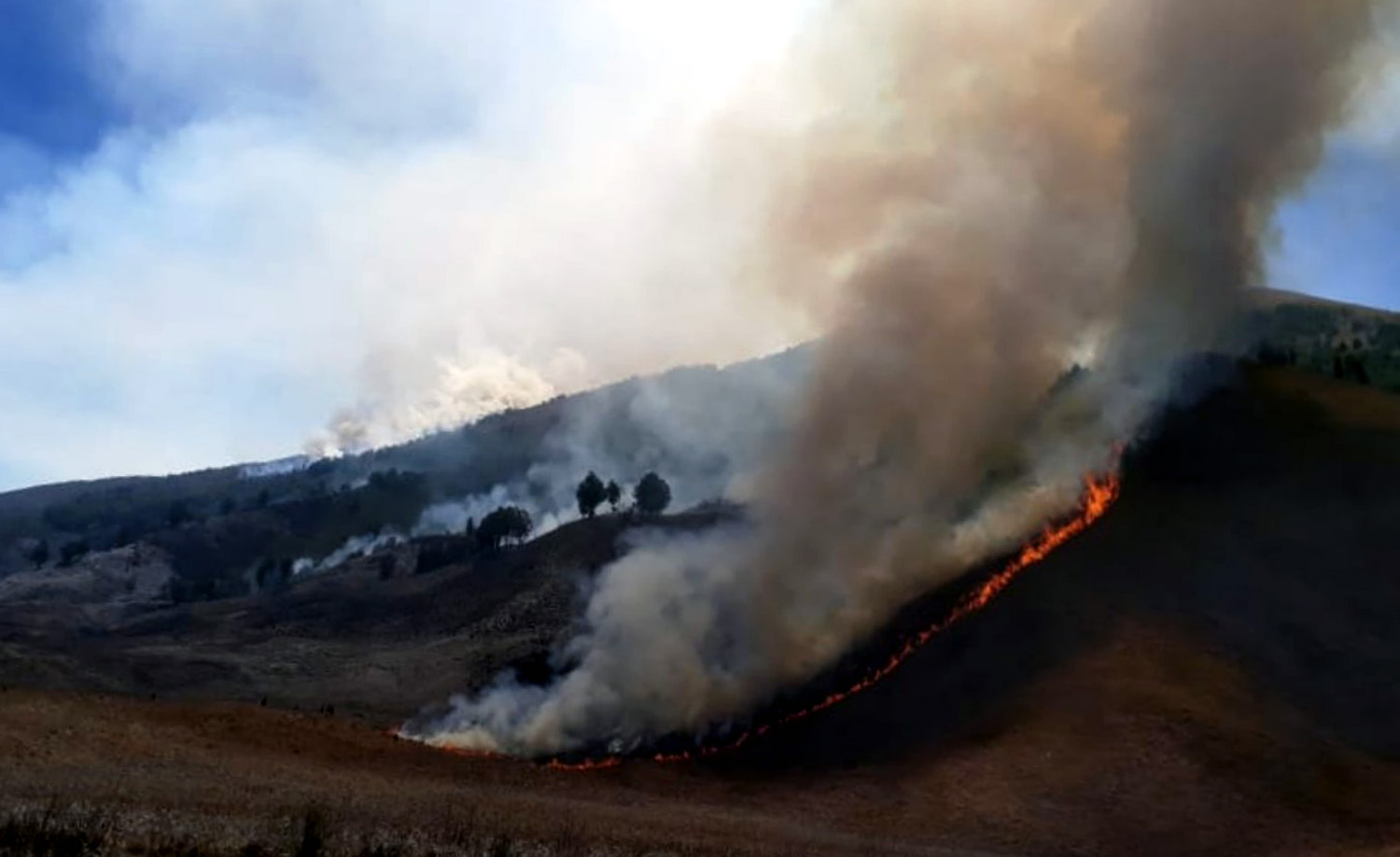 Ilustrasi karhutla di Gunung Bromo