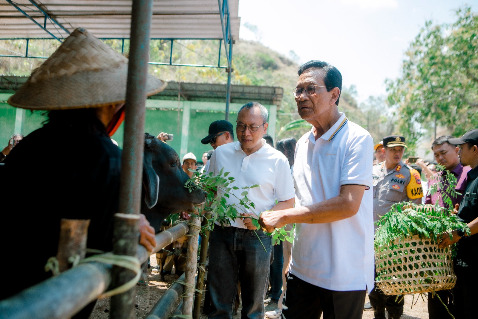 PLN EPI dan Pemprov DIY melakukan penanaman pohon yang daunnya dapat dimanfaatkan peternak dan rantingnya sebagai bahan biomassa.