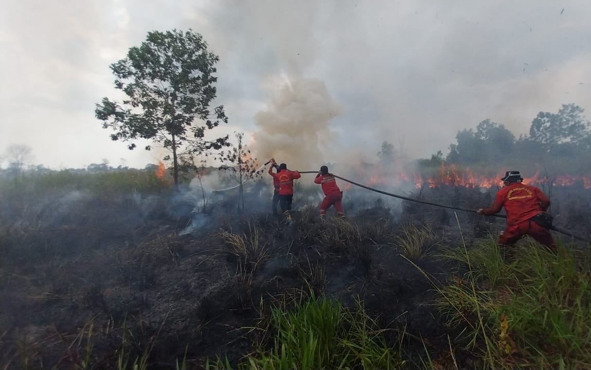 Sebanyak 100 Kejadian Kebakaran Lahan dan Kebun Terjadi di Kuningan