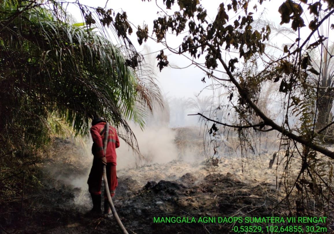 Kebakaran hutan dan lahan (Karhutla) seluruh wilayah Riau pada Minggu (3/9), terpantau pada level ekstrem atau sangat mudah terbakar.