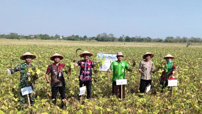 Pertanian Cerdas Lingkungan Pertemukan Petani dengan Penyuluh dan Peneliti