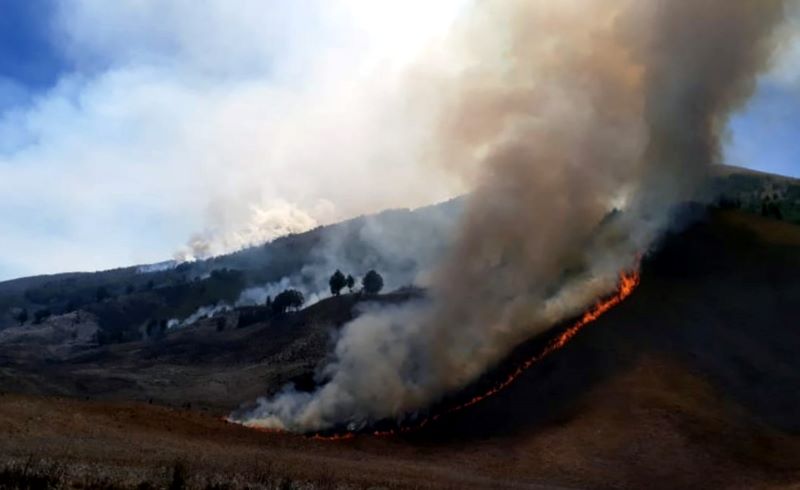 Kebakaran di Bukit Teletubbies Gunung Bromo