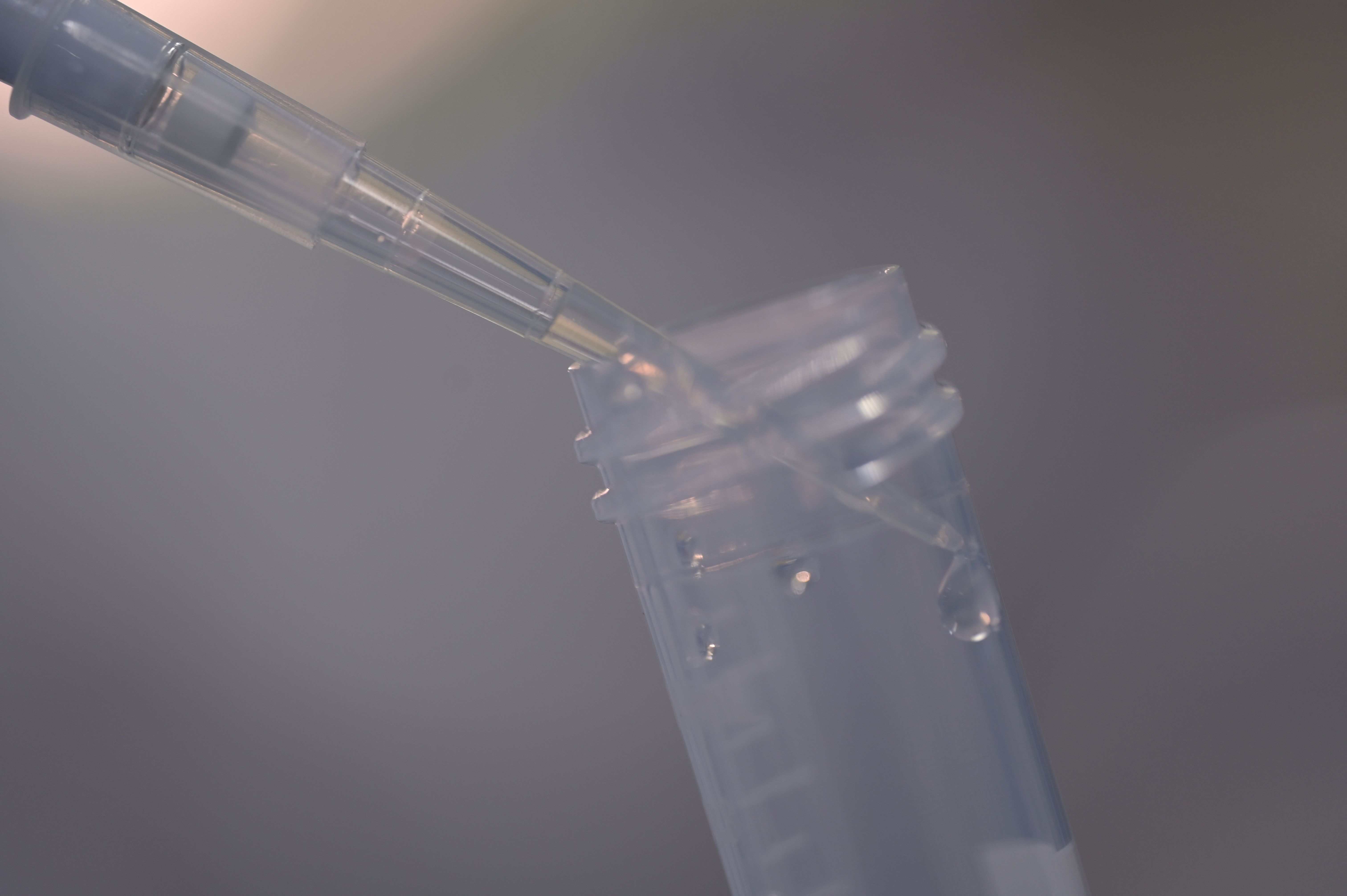 Ilmuwan di Brasil Kembangkan Racun Laba-laba Pisang untuk Pengobatan Disfungsi Ereksi