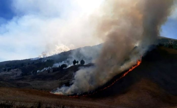 Kebakaran di Bukit Teletubbies, Kawasan Gunung Bromo.