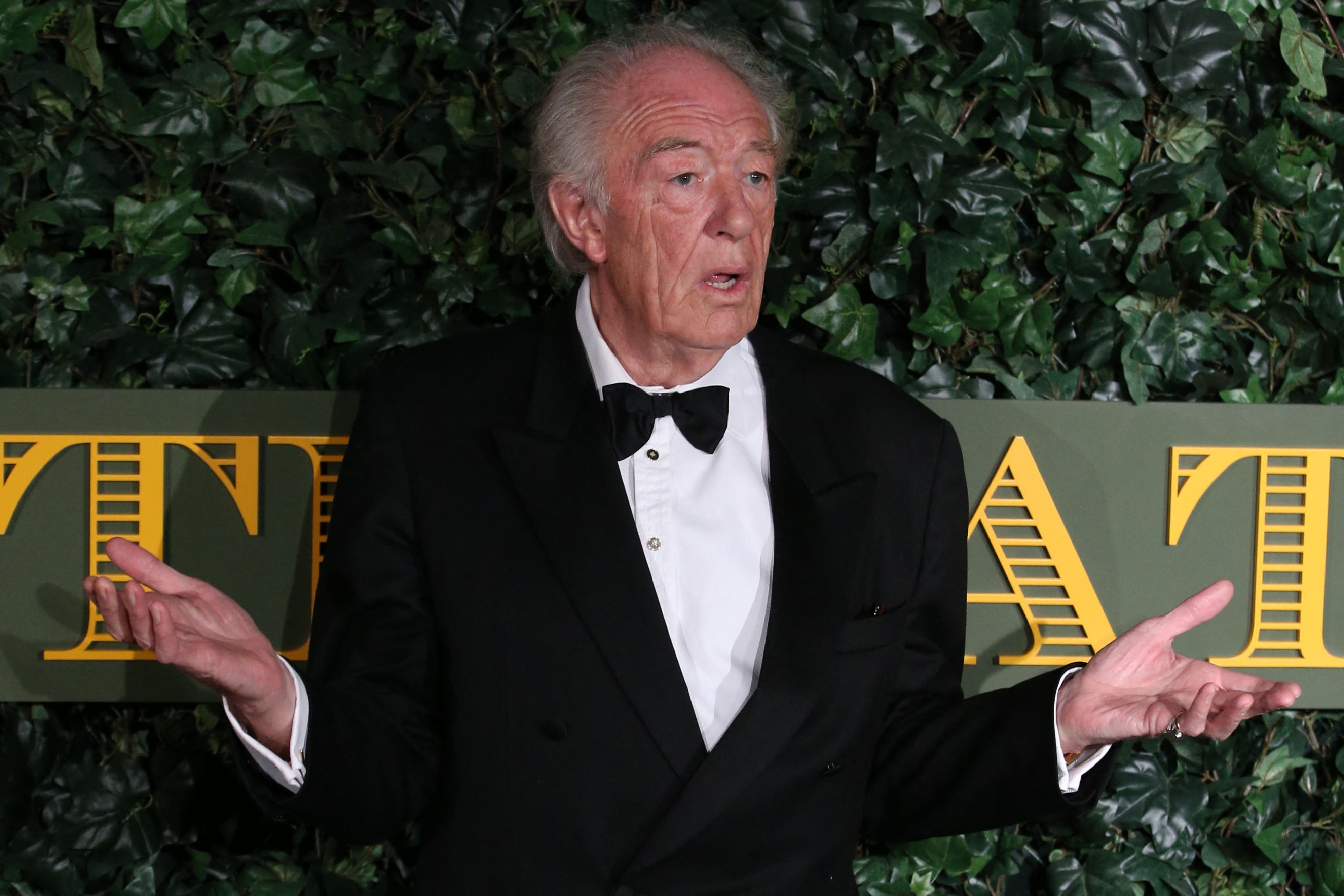 Aktor Michael Gambon