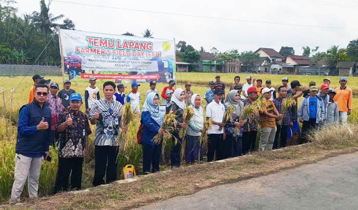 Petani CSA Banjarnegara Gunakan Bakteri untuk Atasi Penyakit Padi
