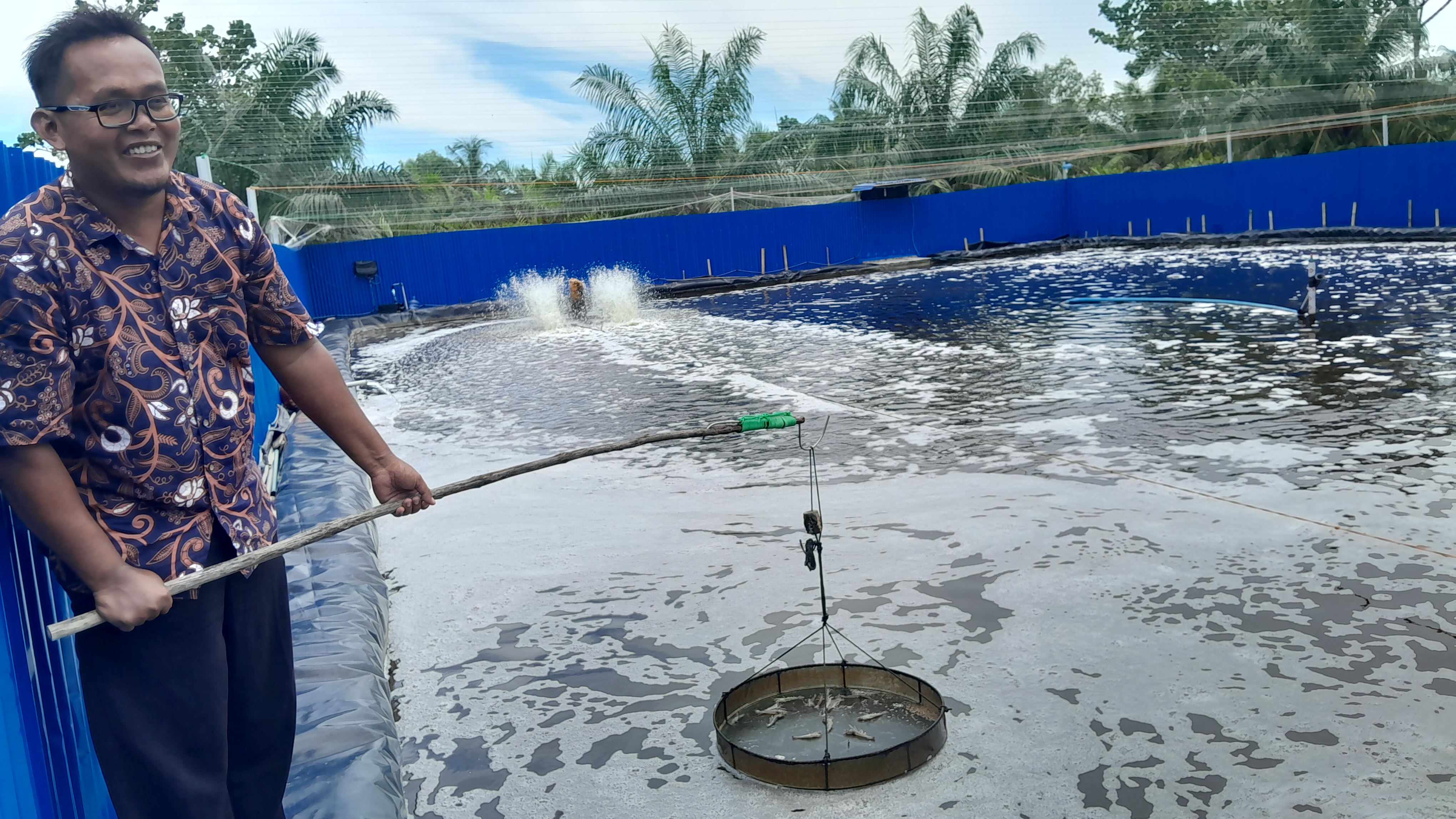 Reno, Ketua Kelompok Pembudidaya Vaname Multazam menunjukkan benih yang sudah ditebar di tambak, Jumat (8/9/2023)