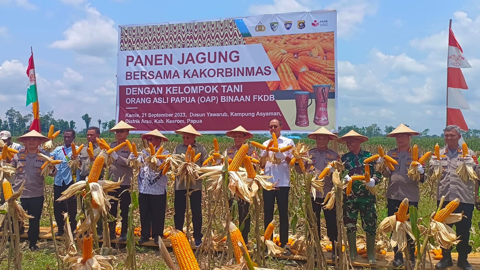 Panen jagung hasil kerja sama Polri dan FKDB di Dusun Yawarub, Keerom, Papua