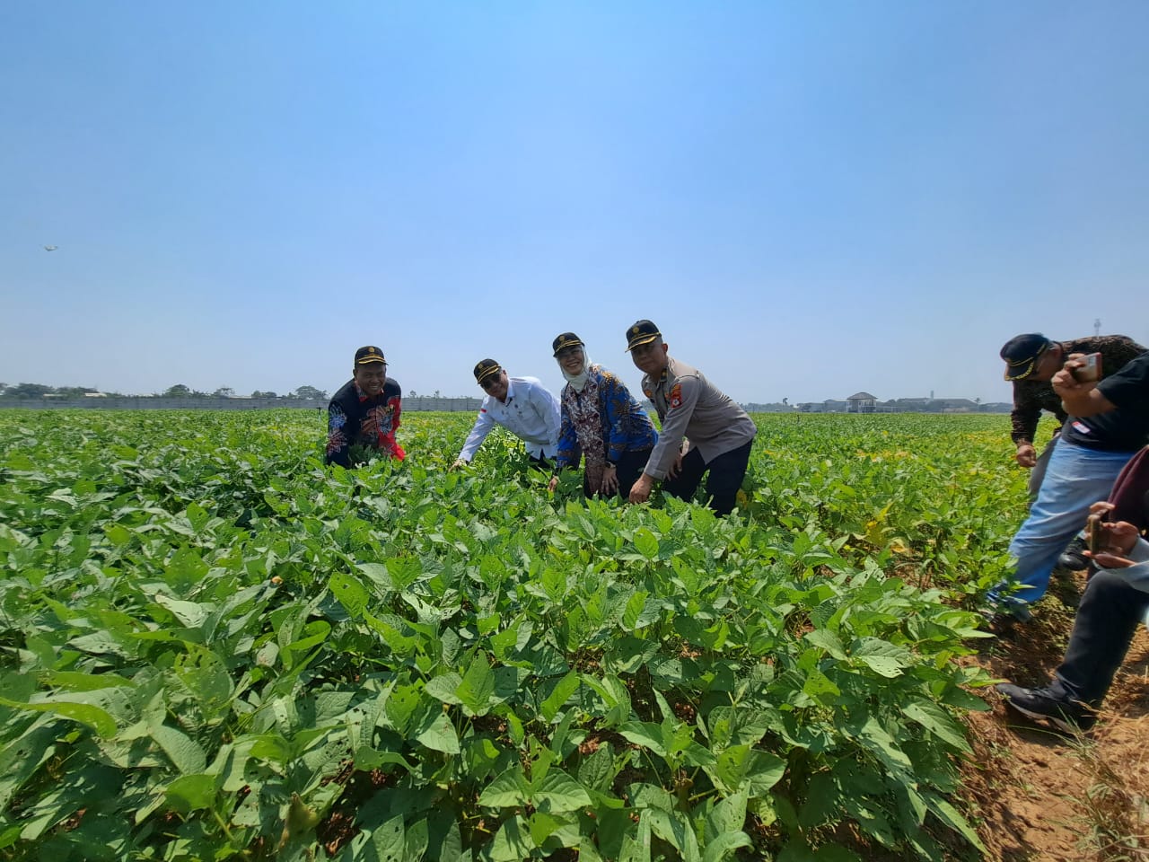 Wamentan Optimistis Kondisi Pertanian di Karawang Aman Kendati Ada El Nino