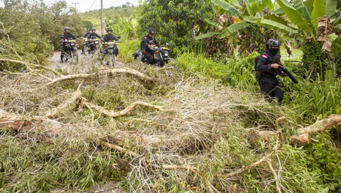 Sejumlah anggota Brimob Polda Kepri menyisir jalan yang diblokir oleh warga Pulau Rempang, Batam, Kepulauan Riau