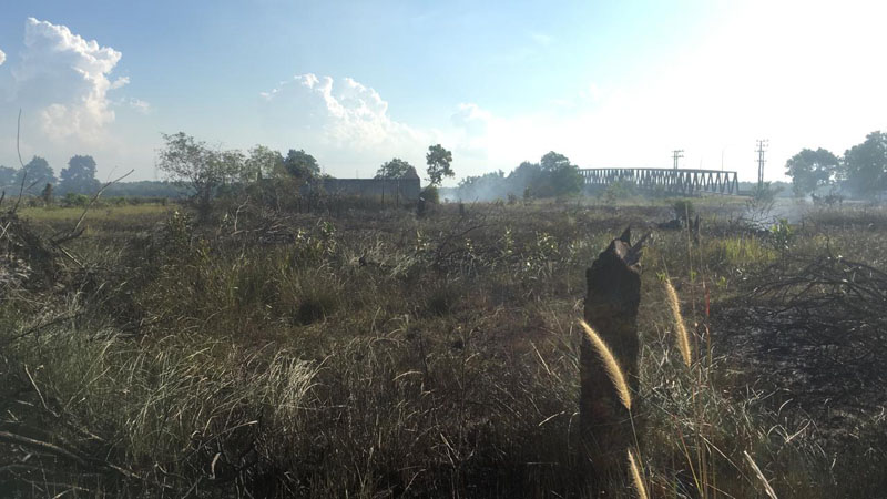 Ilustrasi - BPBD Babel membenarkan terjadi karhutla yang menghanguskan 15 hektare lahan di Bangka Tengah.