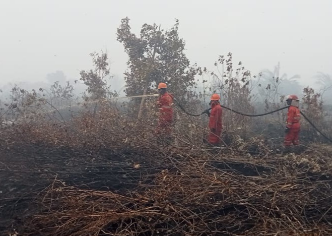 Tim Manggala Agni melakukan pemadaman kebakaran lahan gambut di Desa Jungkal, Kabupaten OKI, Sumsel, Selasa (19/9).