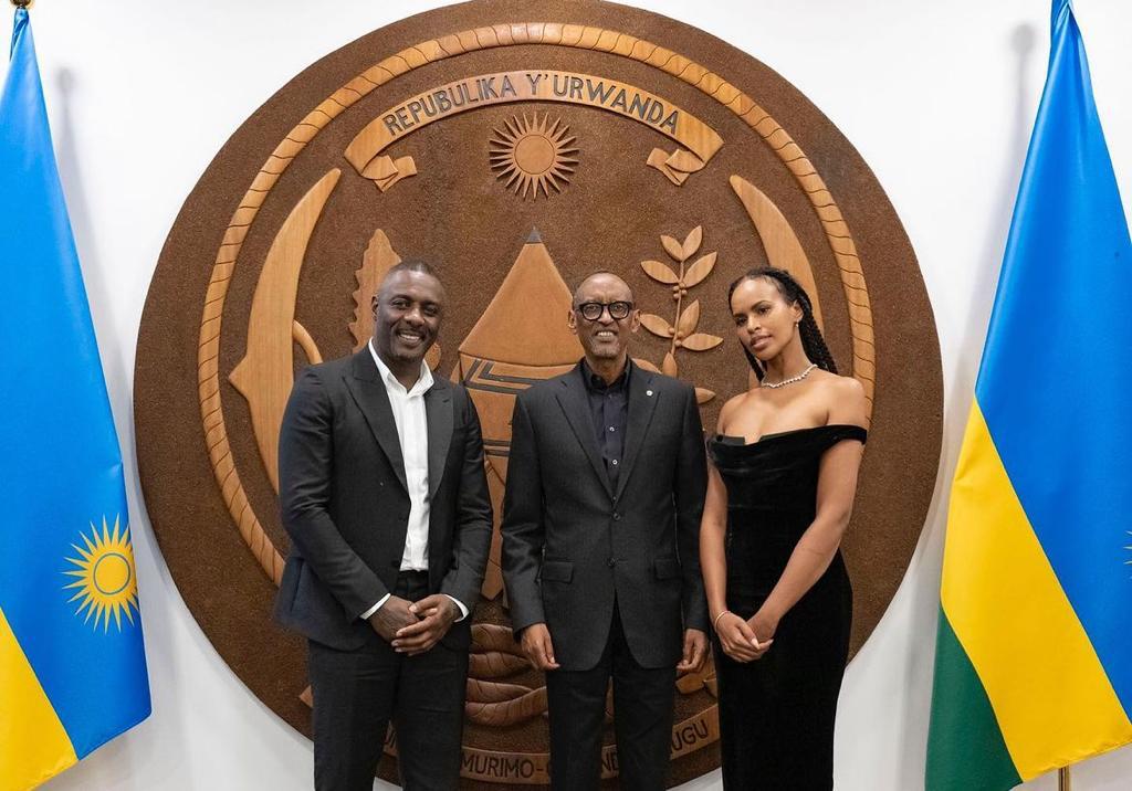 Idris Elba berikan nama untuk bayi gorila Gunung di Rwanda