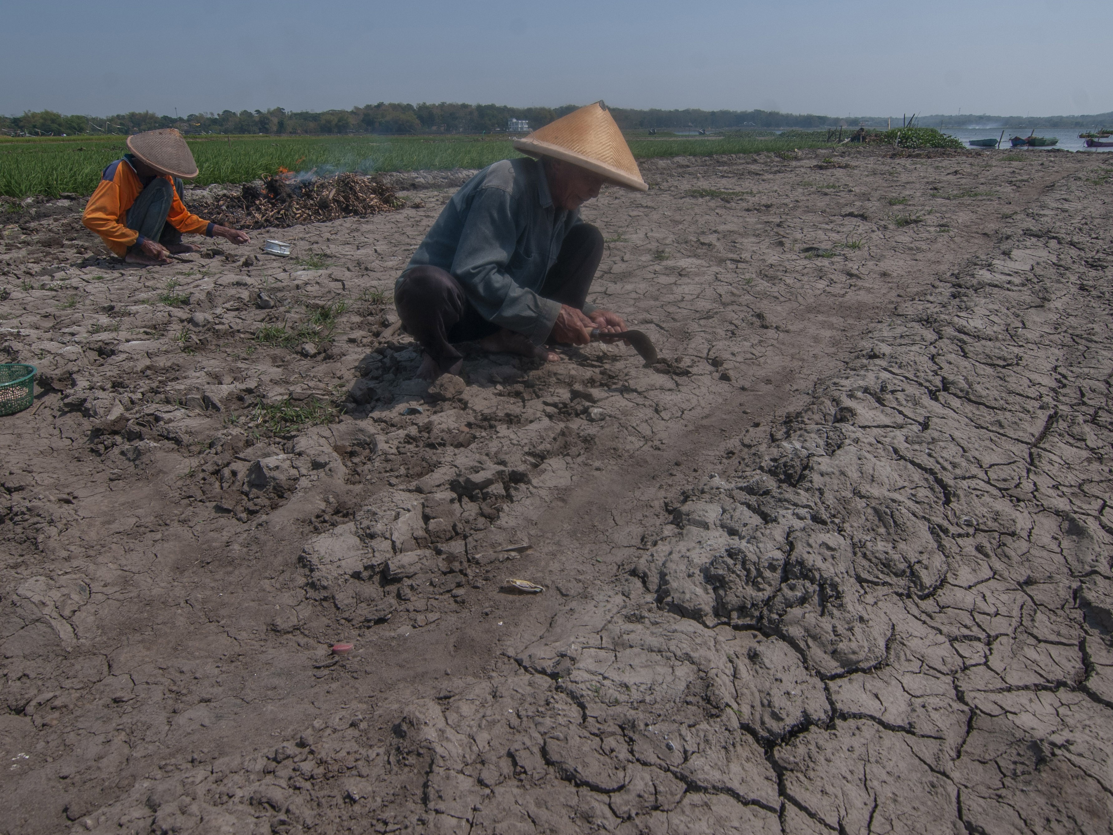 Sejumlah Wilayah Masuki Musim Kemarau pada September
