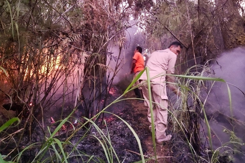 Ilustrasi. Petugas berusaha memadamkan kebakaran di hutan di Jawa Tengah.