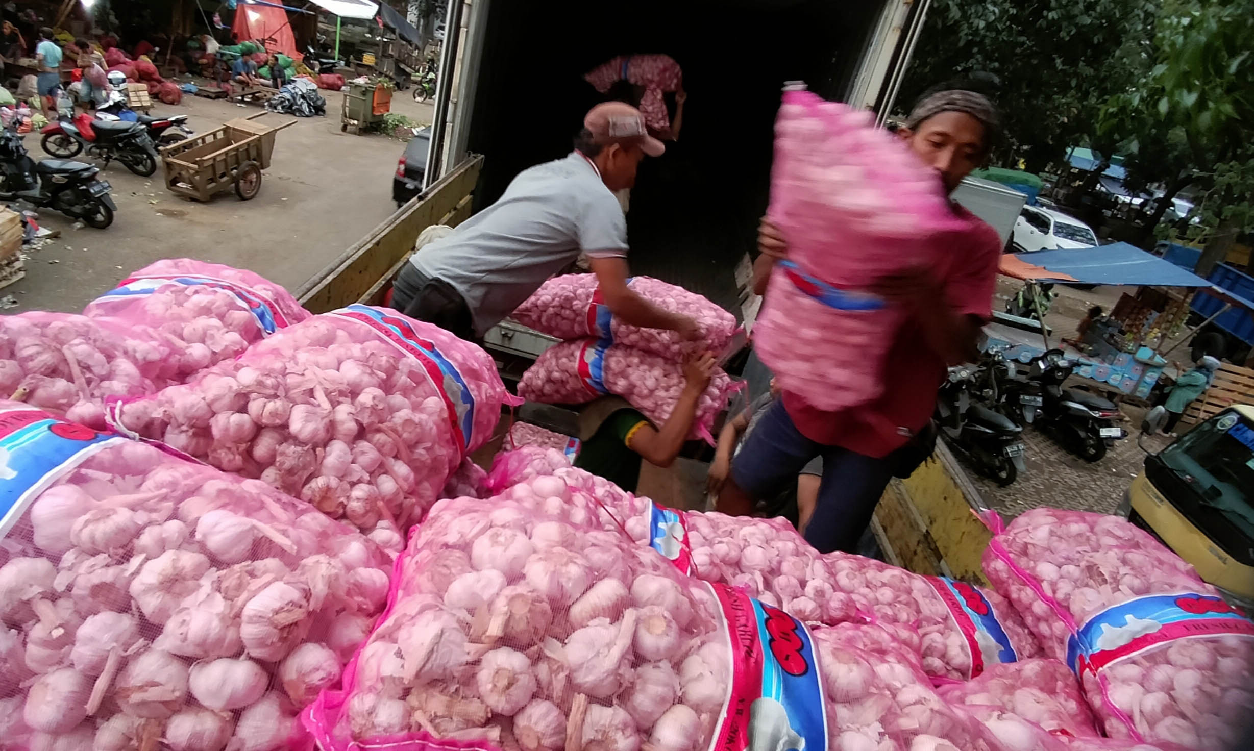 Catat! Ini Manfaat bawang putih untuk kesehatan