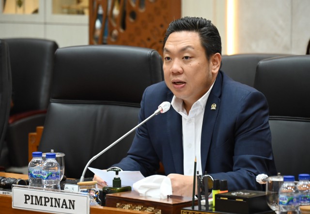 Wakil Ketua Komisi IX DPR RI Charles Honoris