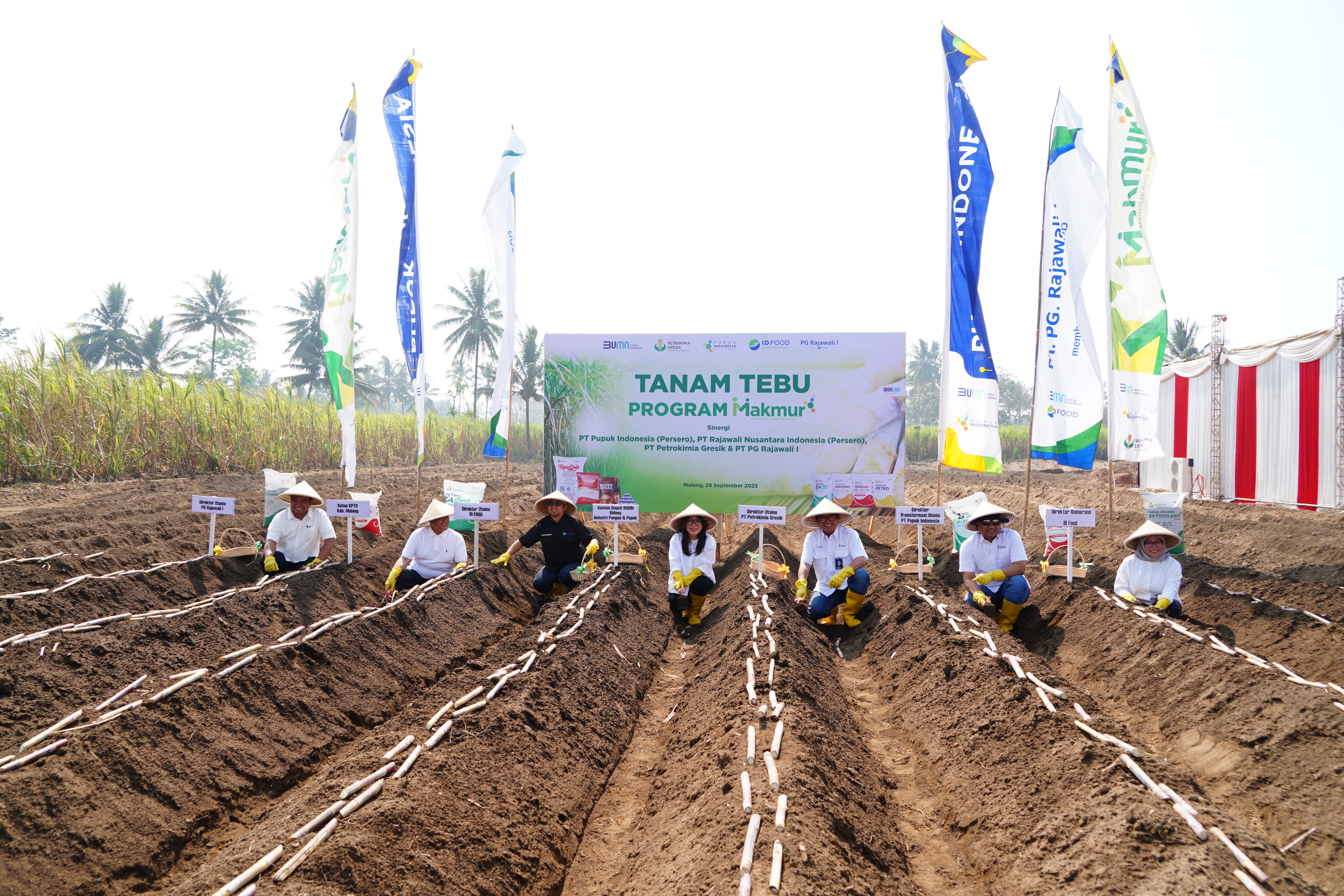 Kegiatan Tanam Tebu Program makmur