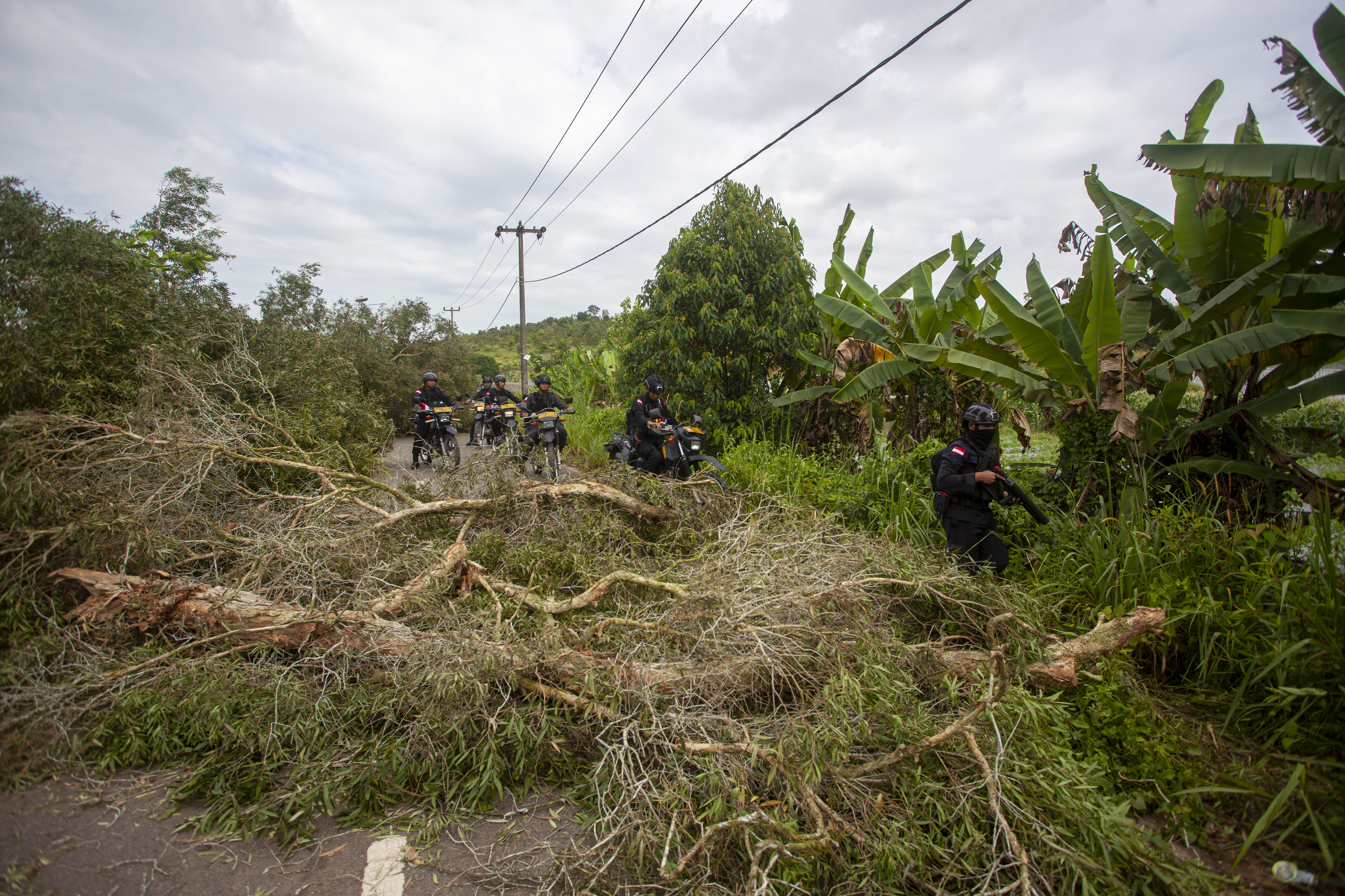Sejumlah anggota Brimob Polda Kepri menyisir jalan yang diblokir warga Pulau Rempang, Batam, Kepulauan Riau, Jumat (8/9).