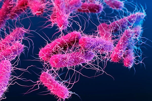 Lipopolisakarida (LPS), merupakan molekul yang terdapat pada membran luar dinding sel bakteri Gram negatif. 