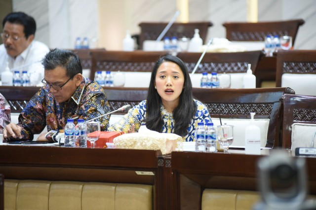 Anggota Komisi XI DPR RI Puteri Komarudin.