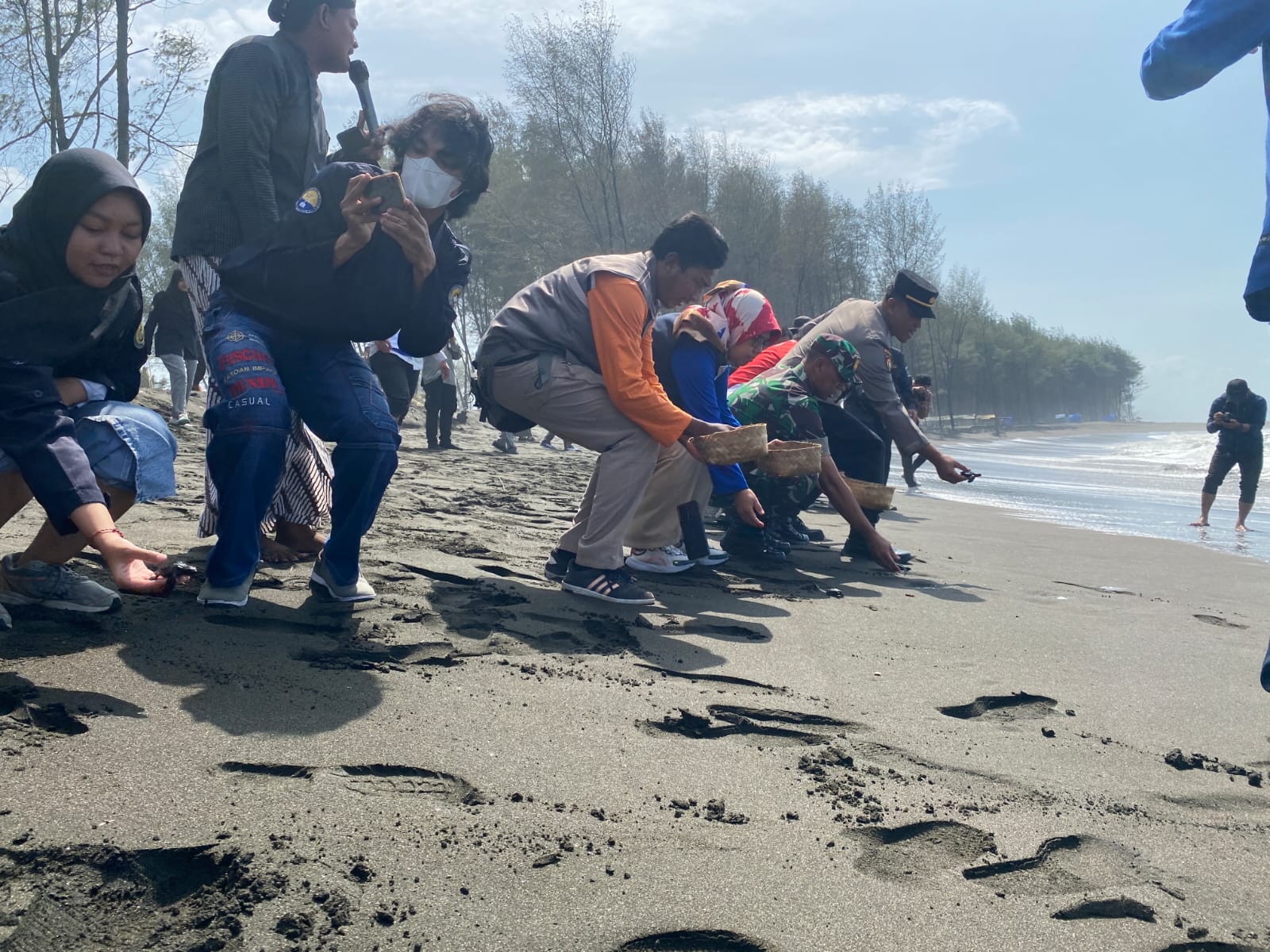 Pelepasliaran penyu Lekang (Lepidochelys Olivacea) di Pantai Sodong, Cilacap. 
