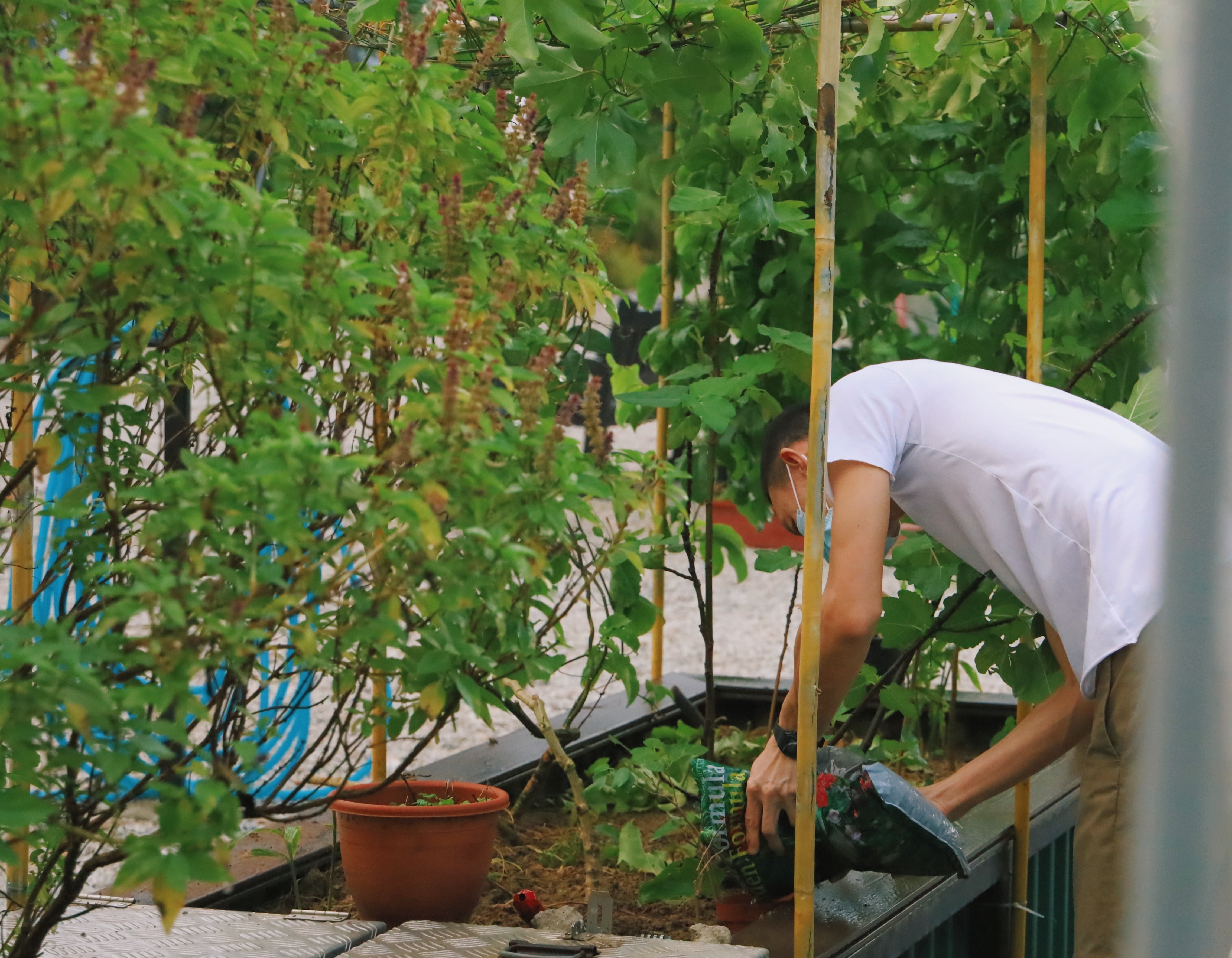 kegiatan urban farming
