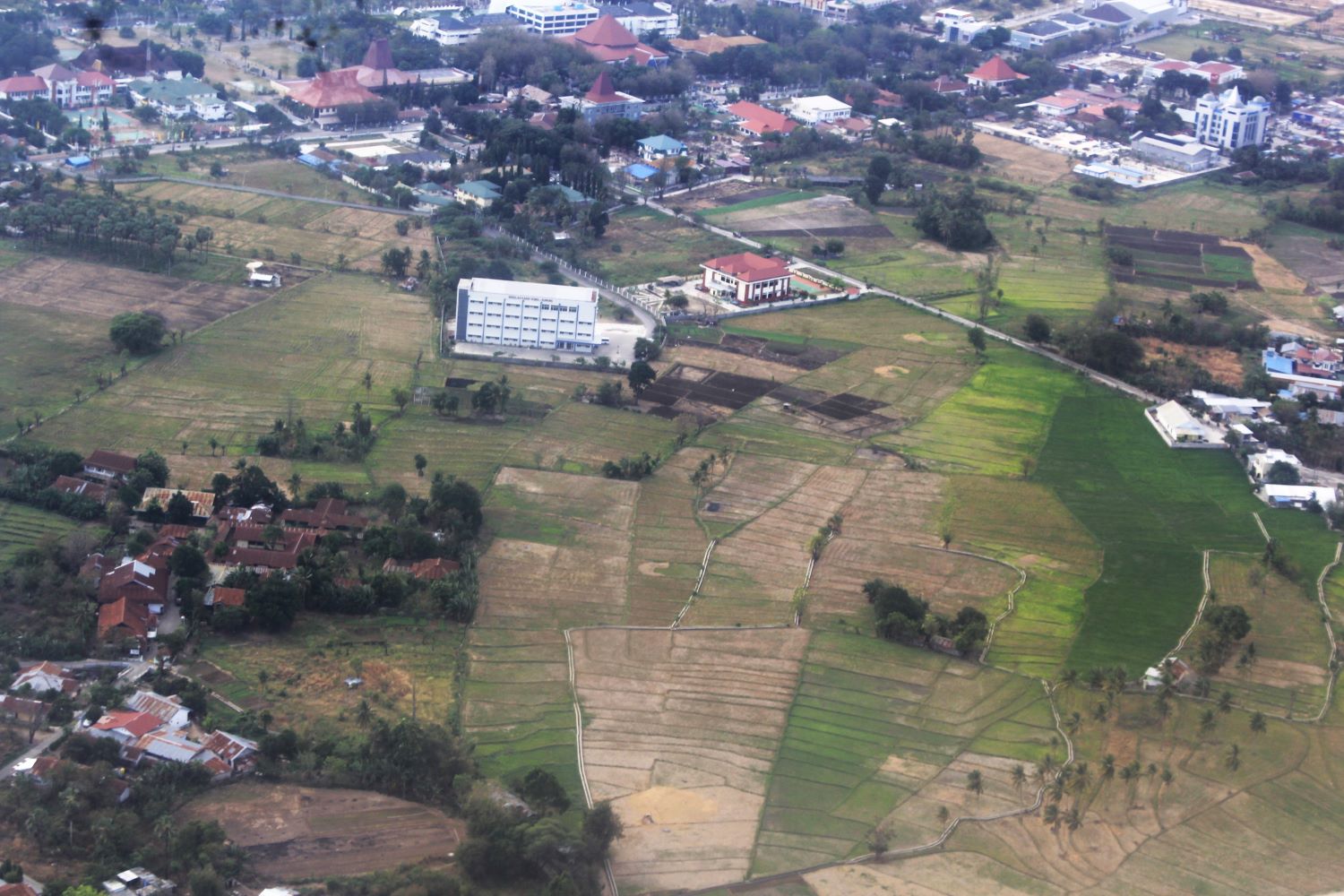 Area persawahan yang mengering akibat kemarau panjang di NTT.