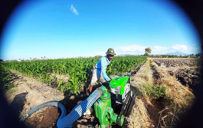 Oseas, petani Penerima Manfaat Program SIMURP di Nagekeo, Nusa Tenggara Timur.