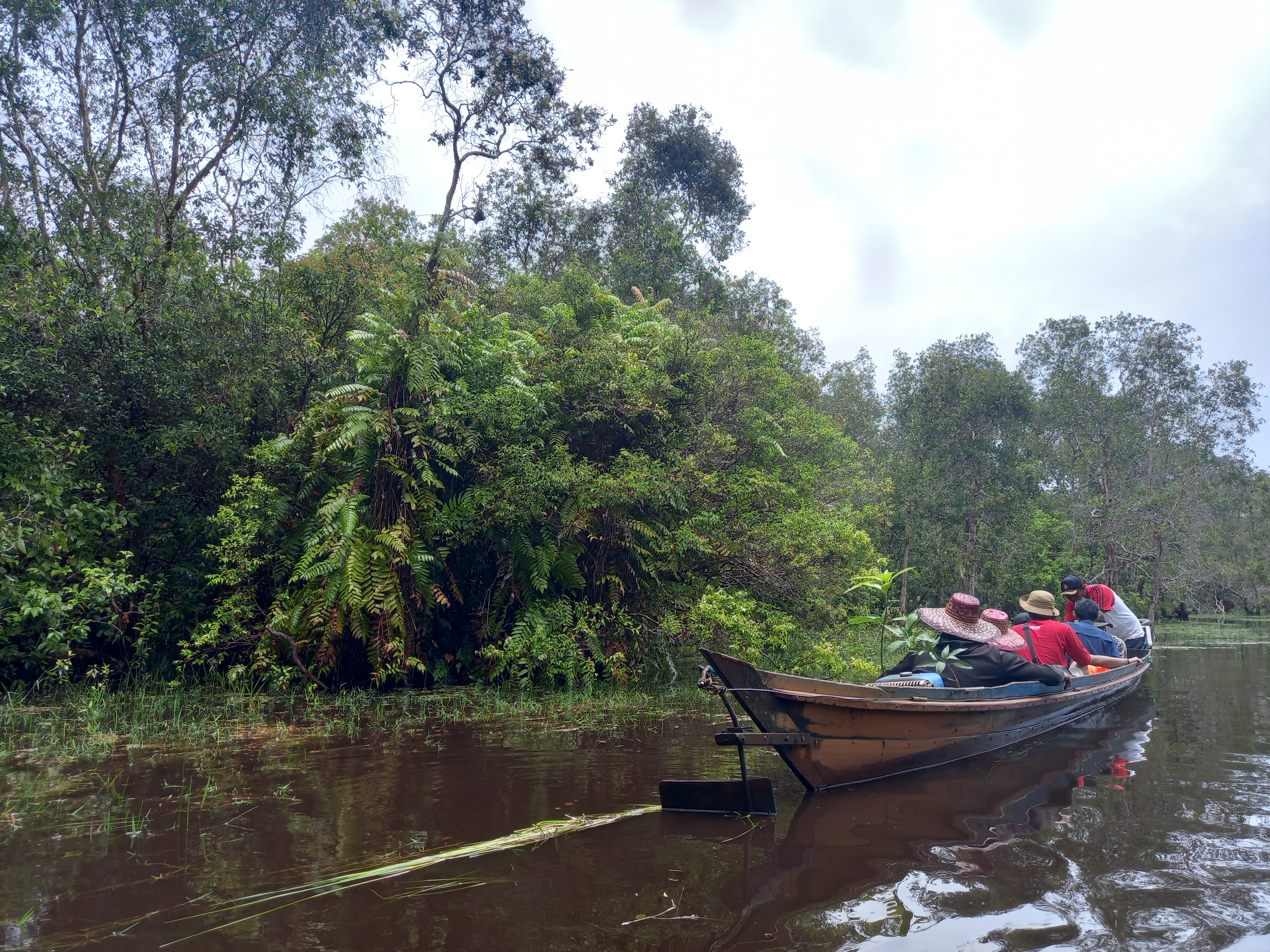 Perhutanan sosial di Kalimantan