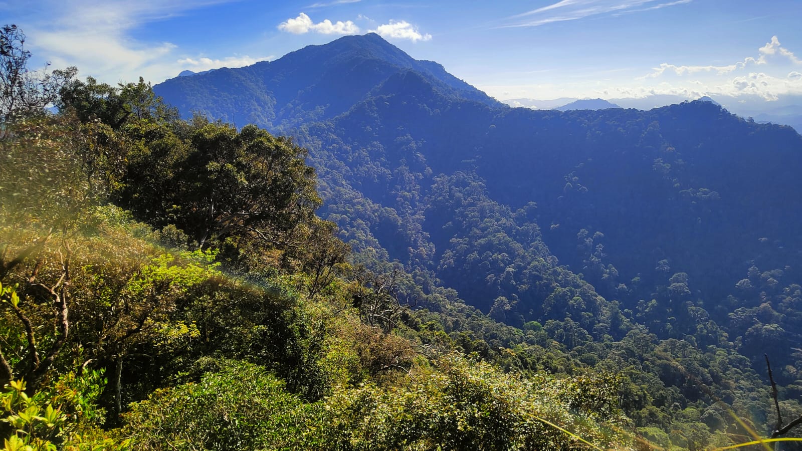  Pemandangan pegunungan meratus dari puncak Gunung Rorokoan, Kalimantan Selatan