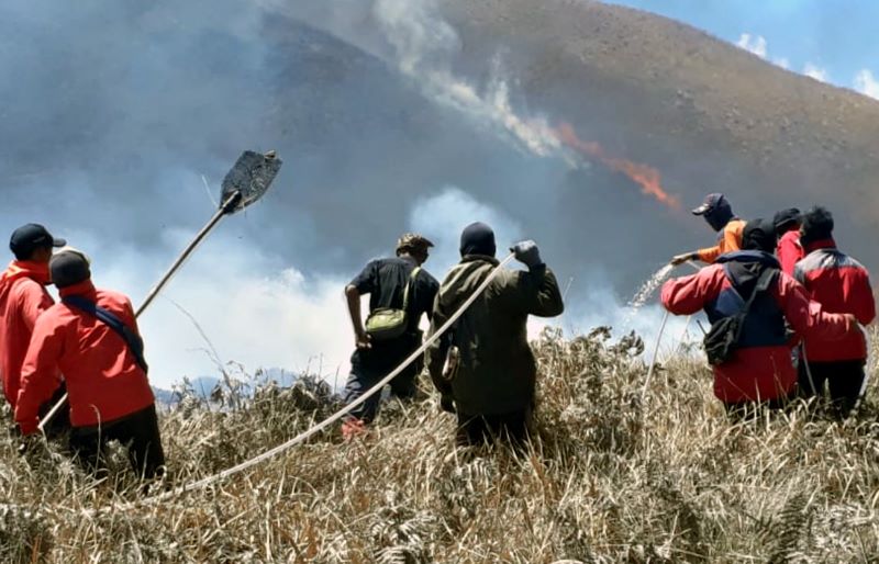 Padang Savana di Gunung Bromo terbakar.