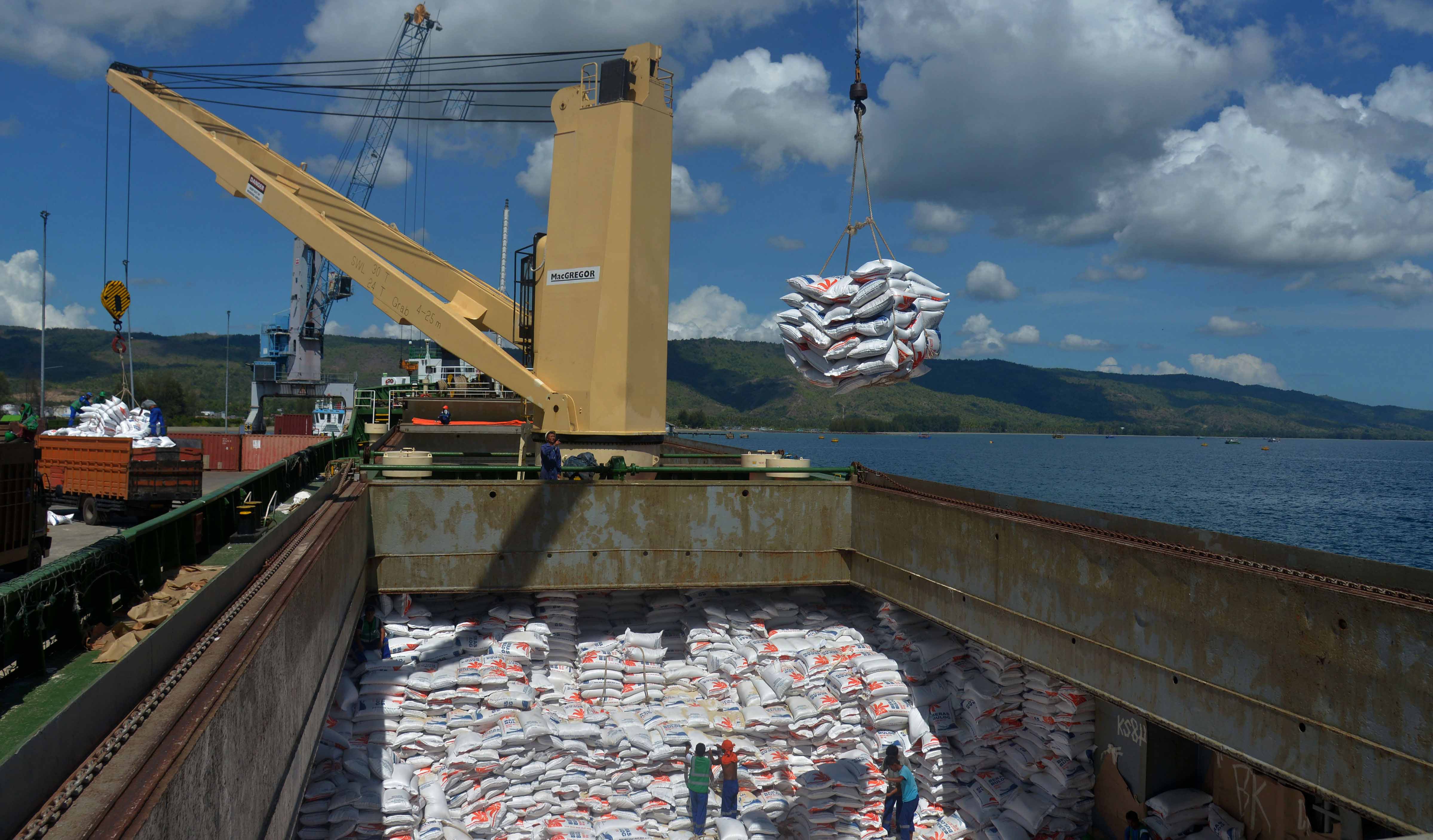 Impor Beras Terukur Tidak Akan Menjatuhkan Harga di Petani