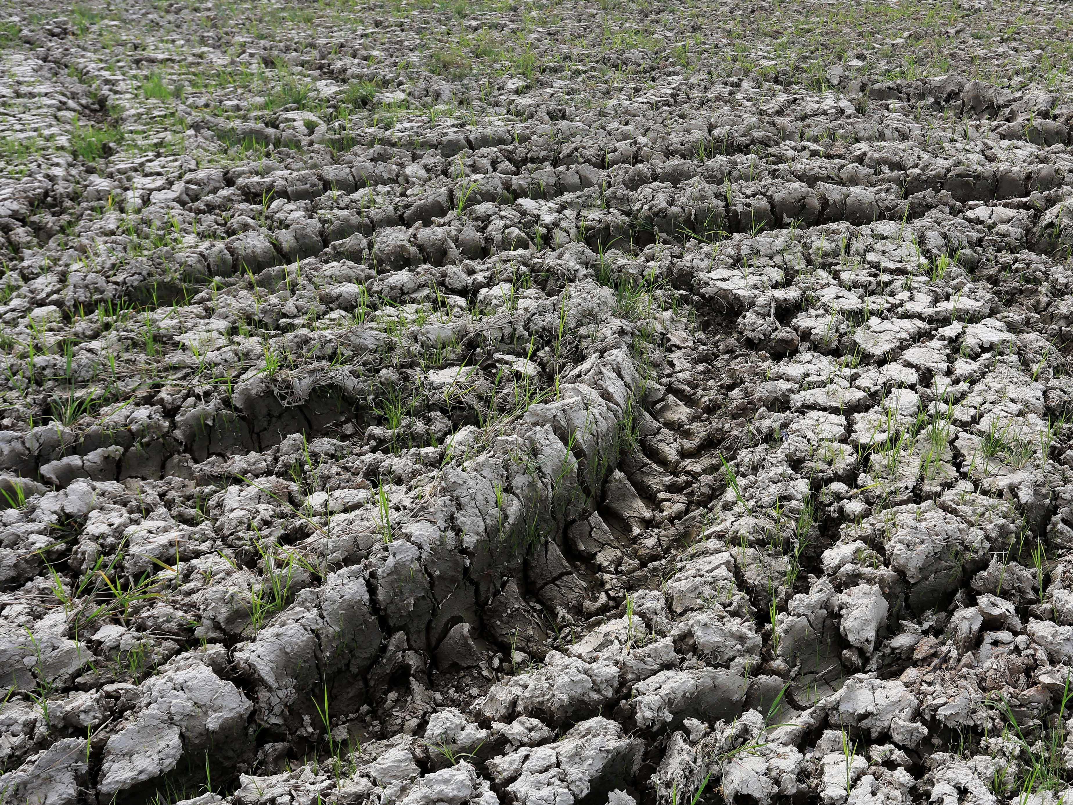 Desa di Kabupaten Kuningan Mulai Dilanda Krisis Air Bersih